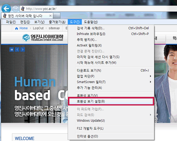 도구 - 호환성 보기 설정 캡쳐화면
